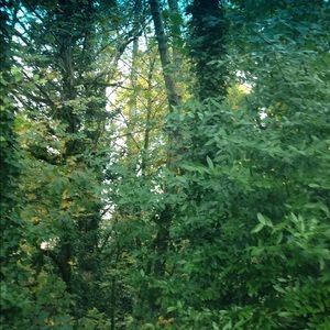 Meet your Posher, Brigid